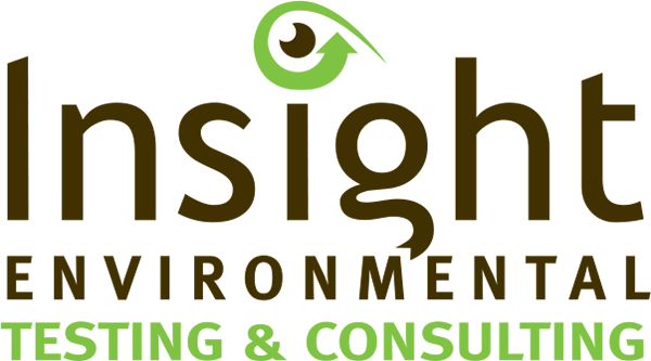 Insight Environmental Logo