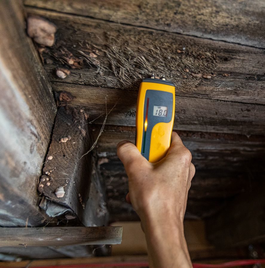 MOLD INSPECTION AND ASBESTOS TESTING SERVICES IN PASADENA, CA​