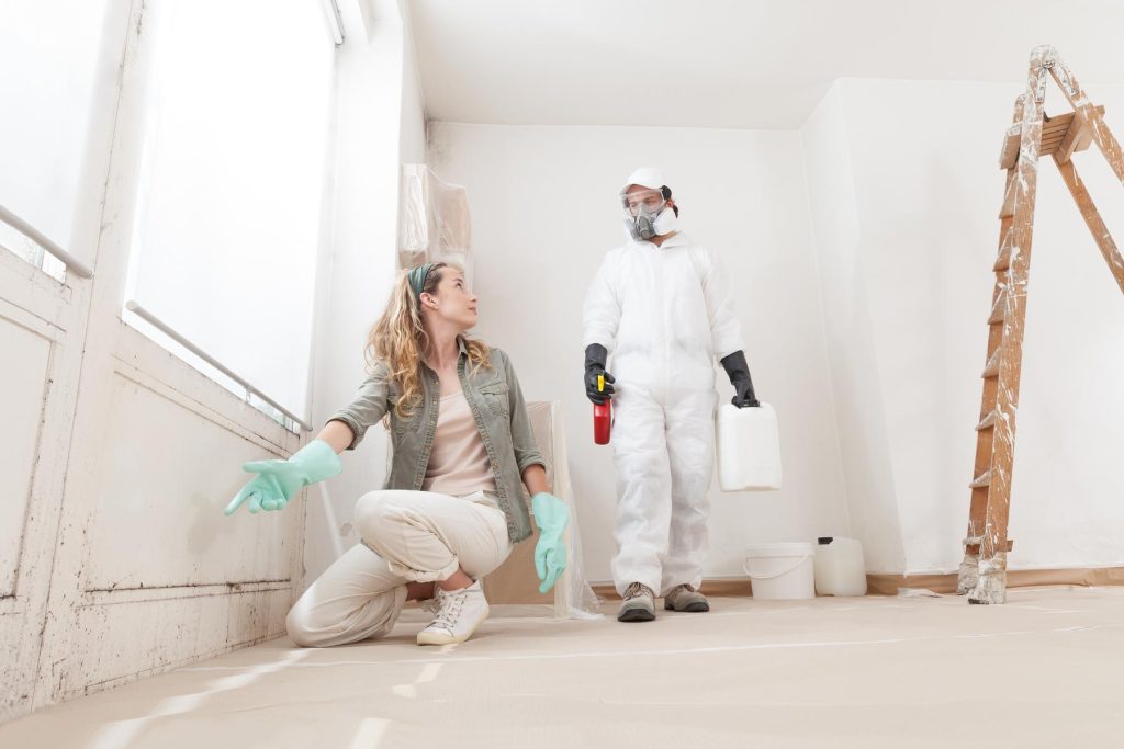 How Do Professionals Test for Mold? | Insight Environmental