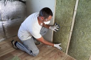 Mold Inspection Experts - Insight Environmental