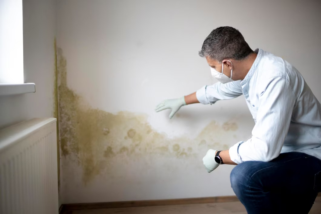 Mold Testing Insight Environmental