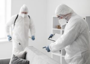 Mold Testing Services in Carpinteria, CA