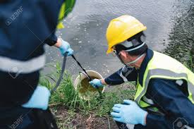 Common Environmental Issues Found in California Homes - Insight Environmental