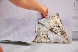 Mold Damage Insurance California Guide | Insight Environmental
