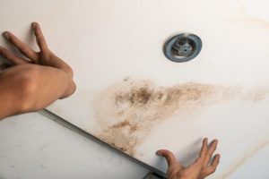 How Long Does It Take for Mold to Grow After Water Damage?